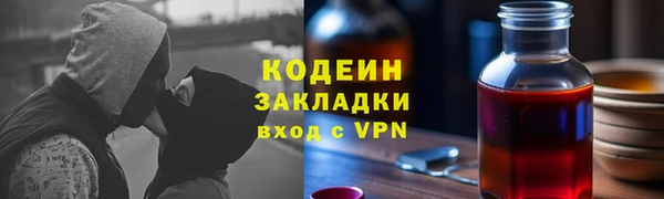 стаф Верея