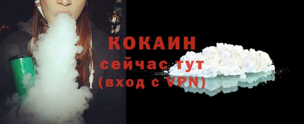 стаф Верея