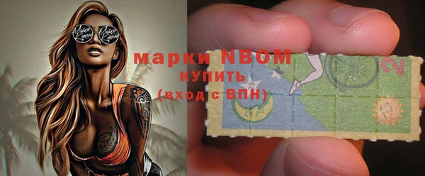 стаф Верея