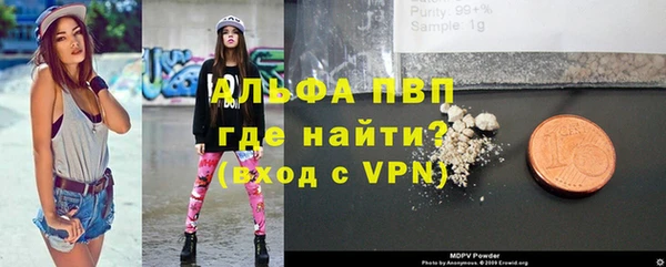 стаф Верея