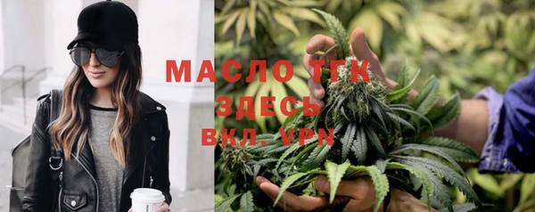 стаф Верея