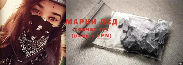 стаф Верея