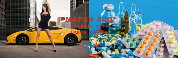 стаф Верея