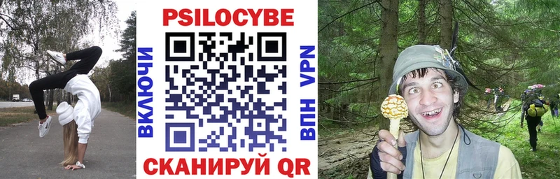Галлюциногенные грибы MAGIC MUSHROOMS  хочу   дарк нет какой сайт  Новосокольники 